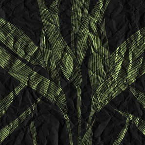 ARCHITECTS PAPER Fototapete Atelier 47 Paper Leaves 3 Tapeten Vlies, Wand, Schräge, Decke Gr. B/L: 6 m x 2,7 m, grün (grün, schwarz) Fototapeten
