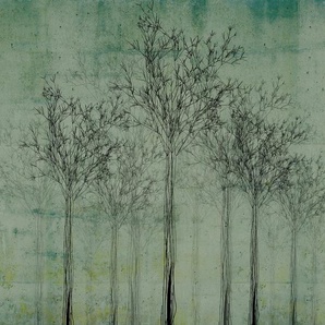 ARCHITECTS PAPER Fototapete Atelier 47 Trees Artwork 2 Tapeten Vlies, Wand, Schräge, Decke Gr. B/L: 4 m x 2,7 m, grün (dunkelgrün, schwarz, hellgrün) Fototapeten Tapeten