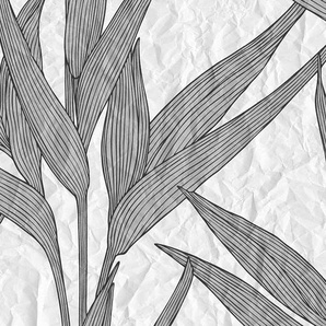ARCHITECTS PAPER Fototapete Atelier 47 White Paper Leaves 1 Tapeten Gr. B/L: 6 m x 2,7 m, bunt (weiß, hellgrau, schwarz) Fototapeten