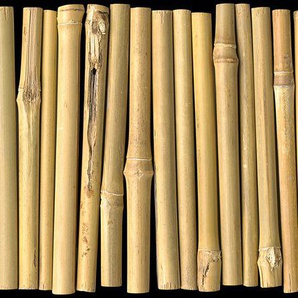 ARCHITECTS PAPER Fototapete Bambus on Black Tapeten Gr. B/L: 6 m x 2,5 m, schwarz (beige, schwarz) Fototapeten Natur