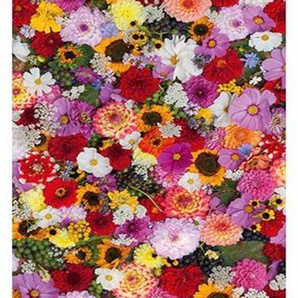 Architects Paper Fototapete Flower Fragrance, (1 St), Blumen Fototapete Floral Tapete Natur Panel 1,00m x 2,80m