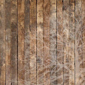 ARCHITECTS PAPER Fototapete Oak Silhouette Tapeten Vlies, Wand, Schräge Gr. B/L: 5 m x 2,5 m, braun (beige, braun, taupe) Fototapeten Natur