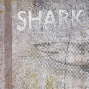 ARCHITECTS PAPER Fototapete Shark Bay Tapeten Gr. B/L: 6 m x 2,5 m, braun (beige, braun, creme) Fototapeten