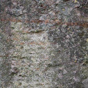 ARCHITECTS PAPER Fototapete Stone Trough Tapeten Vlies, Wand, Schräge Gr. B/L: 6 m x 2,5 m, grau (grau, taupe, weiß) Fototapeten Steinoptik