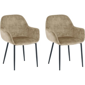 Armlehnstuhl SIT Stühle Gr. B/H/T: 60 cm x 84 cm x 57,5 cm, 2 St., Samt Samtoptik-uni, Beige + Metall, beige (beige, schwarz, schwarz) Armlehnstühle glamouröser Bezug in Samtoptik