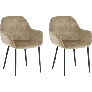 Armlehnstuhl SIT Stühle Gr. B/H/T: 60 cm x 84 cm x 57,5 cm, 2 St., Samt Samtoptik-uni, Beige + Metall, beige (beige, schwarz, schwarz) Armlehnstühle