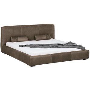 Polsterbett Shabby Echtleder 180 x 200cm Bezug: Echtleder Braun/Mokka