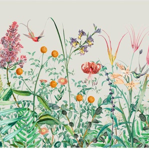 ART FOR THE HOME Fototapete Botanischer Garten Tapeten Mehrfarbig - 280cmx400cm Gr. B/L: 4 m x 2,8 m, bunt Fototapeten Blumen
