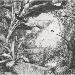 Art for the home Fototapete Dschungeltiere, animal print, (1 St), Grau - 280cmx250cm