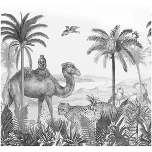 ART FOR THE HOME Fototapete Safari Tapeten 280x300 cm Gr. B/L: 3 m x 2,8 m, grau (weiß, grau) Fototapeten Natur