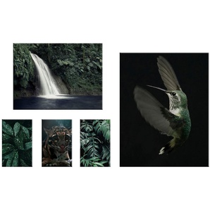 Art for the home Mehrteilige Bilder Art for the Home Leinwandbild Set of 5 - Kolibri - 60x96cm, (Set, 5 St)