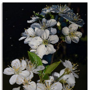 Artland Glasbild Baumblüte, Blumen (1 St), in verschiedenen Größen