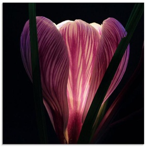 Artland Glasbild Beleuchtet, Blumen (1 St), in verschiedenen Größen