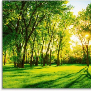 Artland Glasbild Frühlingswärme II, Wiesen & Bäume (1 St), in verschiedenen Größen