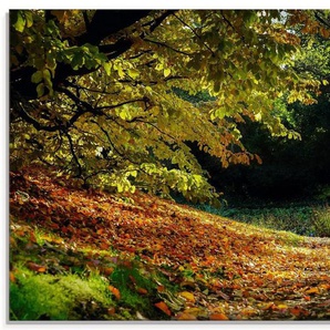 Artland Glasbild Herbstteppich, Wald (1 St), in verschiedenen Größen