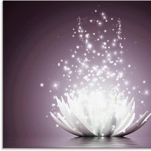 Artland Glasbild Magie der Lotus-Blume, Blumen (1 St), in verschiedenen Größen