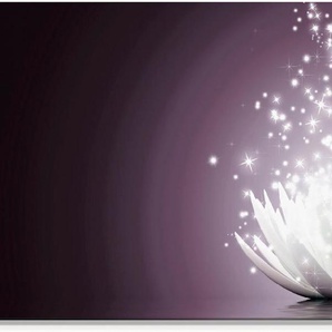 Artland Glasbild Magie der Lotus-Blume, Blumen (1 St), in verschiedenen Größen