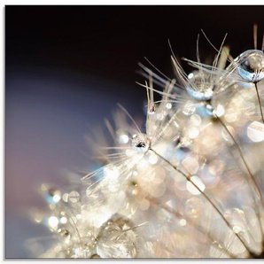 Artland Glasbild Pusteblume Fantasie, Blumen (1 St), in verschiedenen Größen