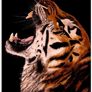 Artland Glasbild Tiger, Wildtiere (1 St), in verschiedenen Größen