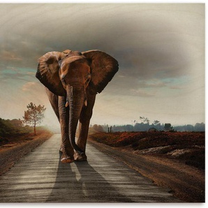 Holzbild ARTLAND Ein Elefant läuft auf der Straße Bilder Gr. B/H/T: 80 cm x 60 cm x 1,2 cm, Holzbild Elefanten Bilder Querformat, 1 St., braun Holzbild Holzbilder
