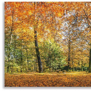 Artland Küchenrückwand Herbstwald Panorama, (1-tlg), Alu Spritzschutz mit Klebeband, einfache Montage