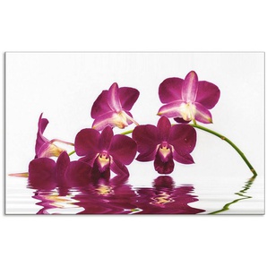 Artland Küchenrückwand Phalaenopsis Orchidee, (1-tlg), Alu Spritzschutz mit Klebeband, einfache Montage