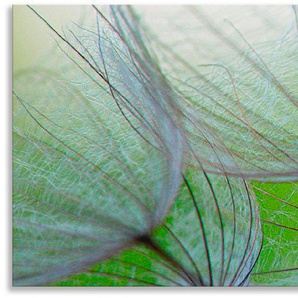 Artland Küchenrückwand Pusteblumen-Samen II, (1-tlg), Alu Spritzschutz mit Klebeband, einfache Montage