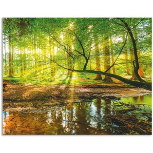 Artland Küchenrückwand Wald mit Bach, (1-tlg), Alu Spritzschutz mit Klebeband, einfache Montage