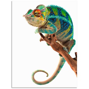 Artland Wandbild Ambanja Panther Chamäleon, Reptilien (1 St), als Alubild, Leinwandbild, Wandaufkleber oder Poster in versch. Größen