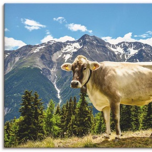 Artland Wandbild Bergkuh in den Alpen im Sommer, Haustiere (1 St), als Alubild, Leinwandbild, Wandaufkleber oder Poster in versch. Größen