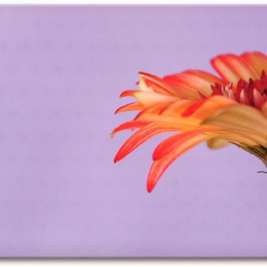 Artland Wandbild Blume, Blumen (1 St), als Leinwandbild, Wandaufkleber oder Poster in versch. Größen