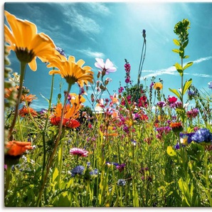 Artland Wandbild Buntes Blumenfeld, Blumenwiese (1 St), als Alubild, Leinwandbild, Wandaufkleber oder Poster in versch. Größen
