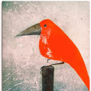 Artland Wandbild Der Rote Vogel, Vögel (1 St), als Leinwandbild, Poster in verschied. Größen