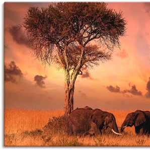 Artland Wandbild Elefanten zum Abendessen, Wildtiere (1 St), als Alubild, Leinwandbild, Wandaufkleber oder Poster in versch. Größen