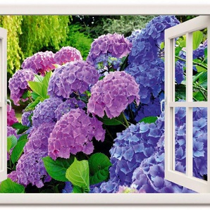 Artland Wandbild Fensterblick Hortensien im Garten, Blumen (1 St), als Leinwandbild, Poster in verschied. Größen