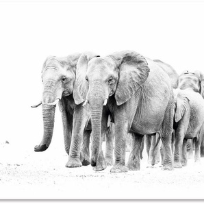 Artland Wandbild Karawane der Eefanten, Elefanten Bilder (1 St), als Alubild, Leinwandbild, Wandaufkleber oder Poster in versch. Größen
