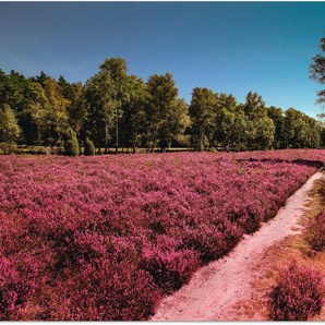 Artland Wandbild Lüneburger Heide Romantik, Blumenwiese (1 St), als Alubild, Leinwandbild, Wandaufkleber oder Poster in versch. Größen
