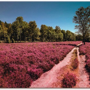 Artland Wandbild Lüneburger Heide Romantik, Blumenwiese (1 St), als Alubild, Leinwandbild, Wandaufkleber oder Poster in versch. Größen