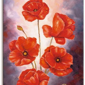 Artland Wandbild Mohn V, Blumen (1 St), als Leinwandbild, Poster in verschied. Größen