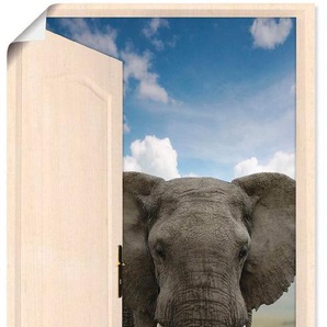 Artland Wandbild Offene weiße Türe mit Blick auf Elefant, Wildtiere (1 St), als Alubild, Leinwandbild, Wandaufkleber oder Poster in versch. Größen