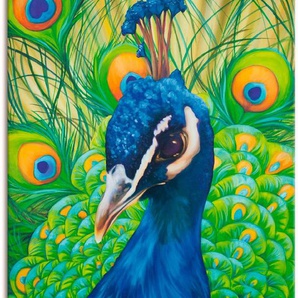 Artland Wandbild Pfau, Vögel (1 St), als Leinwandbild, Poster in verschied. Größen