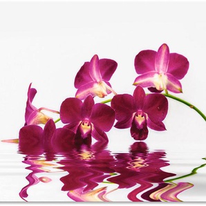 Artland Wandbild Phalaenopsis Orchidee, Blumen (1 St), als Alubild, Leinwandbild, Wandaufkleber oder Poster in versch. Größen