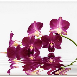 Artland Leinwandbild Phalaenopsis Orchidee, Blumen (1 St), auf Keilrahmen gespannt