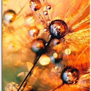 Artland Wandbild Pusteblume Energy, Blumen (1 St), als Leinwandbild, Poster in verschied. Größen