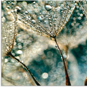 Artland Wandbild Pusteblume Regenschauer, Blumen (1 St), als Alubild, Outdoorbild, Leinwandbild, Poster, Wandaufkleber