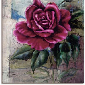 Artland Wandbild Rose II, Blumen (1 St), als Alubild, Outdoorbild, Leinwandbild in verschied. Größen