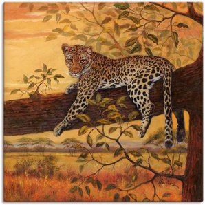 Artland Wandbild Ruhender Leopard, Wildtiere (1 St), als Leinwandbild, Wandaufkleber in verschied. Größen