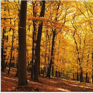 Artland Wandbild Spaziergang im Herbstwald, Wald (1 St), als Alubild, Outdoorbild, Leinwandbild, Poster in verschied. Größen