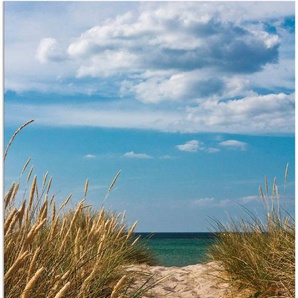 Artland Wandbild Strandzugang an der Ostsee - Dänemark 9, Strand (1 St), als Alubild, Outdoorbild in verschied. Größen