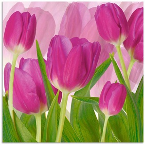 Artland Wandbild Tulpenfeld lila, Blumen (1 St), als Alubild, Leinwandbild, Wandaufkleber oder Poster in versch. Größen